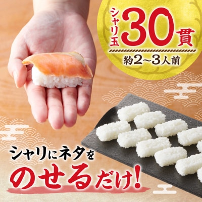 お寿司セット_hs027-016