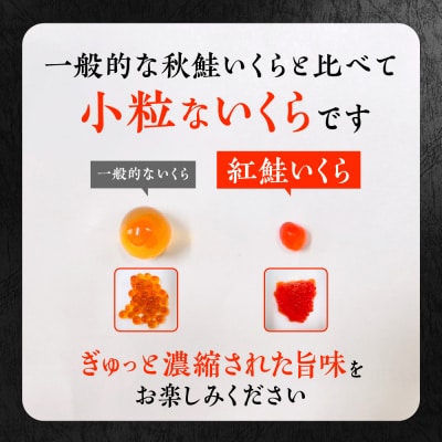 北海道加工　紅鮭いくら醤油漬け　400g_hs084-034