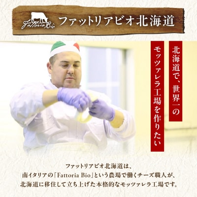 ファットリアビオ北海道　イタリア職人が作るカチョカヴァロとモッツァレラ_hs029-014