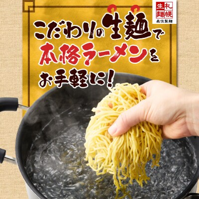 北海道ラーメン 味噌セット3種 彩未/白樺山荘/吉山商店 計12食_hs290-009