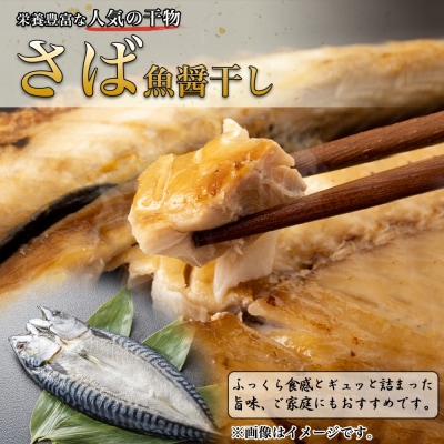 ふじと屋 人気の干物2種 計6点セット さば 秋鮭切り身 干物_hs288-007