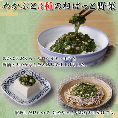 北海道産 鮭とろ めかぶと3種のねばっと野菜 計4袋 札幌市 栄興食品_hs289-021