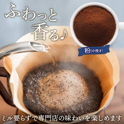 天野珈琲 2種〈粉〉 トドマツ 開拓 各1袋 計200g マイルド&フルーティー_hs291-176