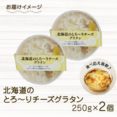 ■北海道のとろ～りチーズグラタン■250g 2個セット 濃厚 ホワイトソース_hs289-057