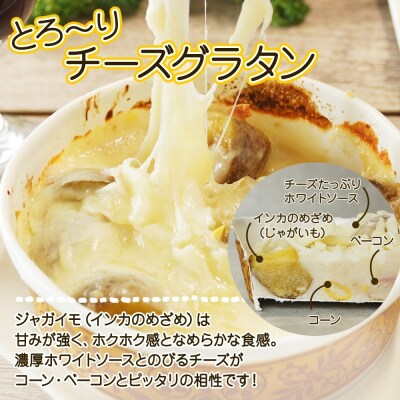 ■北海道グラタン 2種■坊ちゃんかぼちゃ230g とろ～りチーズ250g 各2個_hs289-060