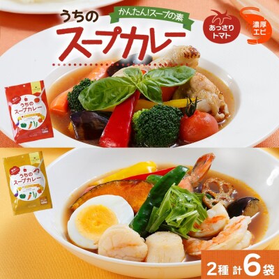 スープカレーの素 うちのスープカレー 2種セットA 計6袋_hs299-042