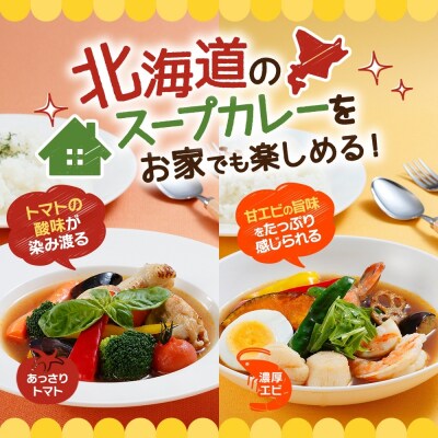 スープカレーの素 うちのスープカレー 2種セットA 計6袋_hs299-042