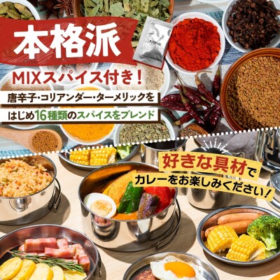 スープカレーの素 うちのスープカレー 2種セットC 計6袋_hs299-044
