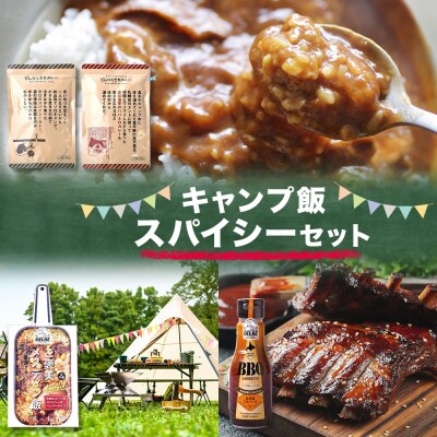 キャンプ飯スパイシーセット 4種 計4個_hs299-019