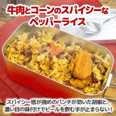キャンプ飯スパイシーセット 4種 計4個_hs299-019