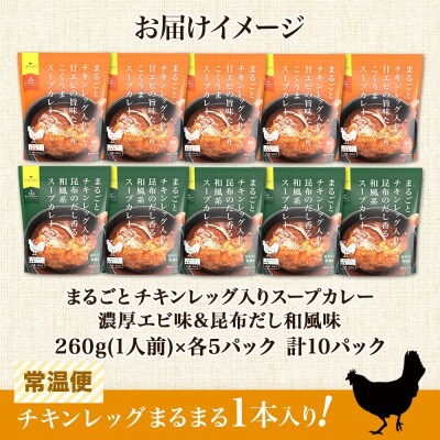 まるごと チキンレッグスープカレー 2種セットC 計10パック_hs299-034
