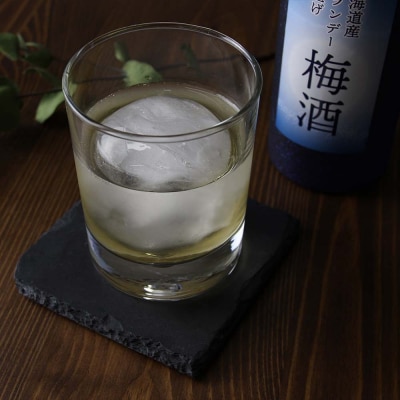 【梅酒】 北海道産ブランデー仕上げ 12% 2本セット_hs017-002