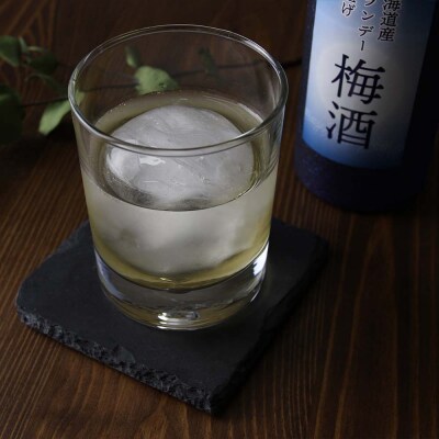 梅酒のみ比べセット 合計4本【神宮の梅】梅酒、【梅酒】北海道産ブランデー仕上げ_hs017-005