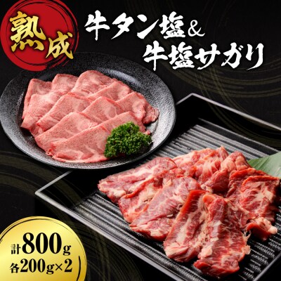 牛タン塩&牛塩サガリセット 800g各200g×2_hs017-290
