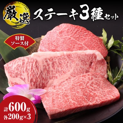 ステーキ 3種セット 合計600g 特製ソース付_hs017-295