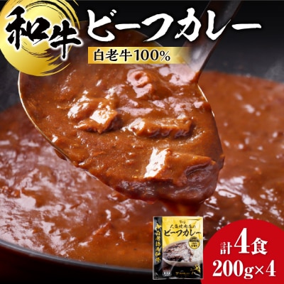 和牛 ビーフカレー 4個セット 200g×4袋_hs017-300