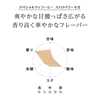 ドリップバッグ「スペシャルティコーヒー ストロベリーモカ」_hs017-394
