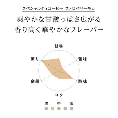ドリップバッグ「スペシャルティコーヒー ストロベリーモカ」　3袋_hs017-395