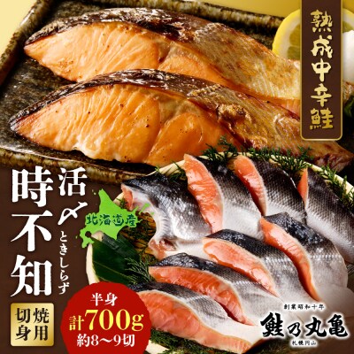 鮮度の良い時不知鮭だけを厳選!鮭乃丸亀　熟成中辛鮭(活〆時不知)切身_hs034-003