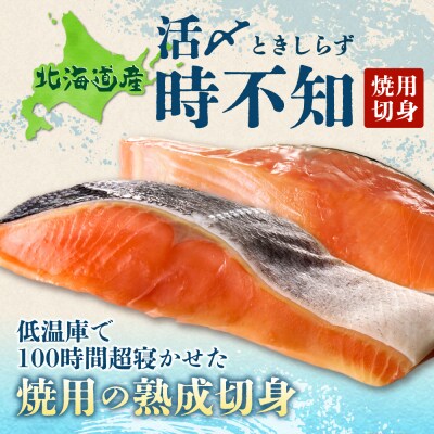 鮮度の良い時不知鮭だけを厳選!鮭乃丸亀　熟成中辛鮭(活〆時不知)切身_hs034-003