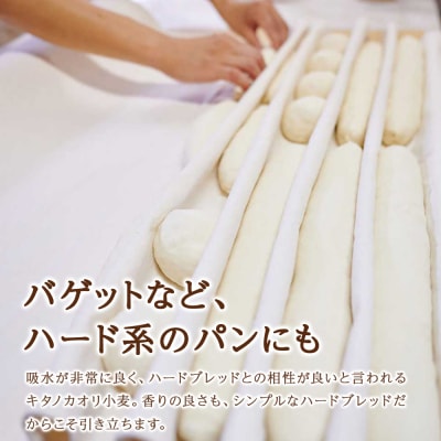 キタノカオリブレンド 5kg(2.5kg×2)_hs017-444