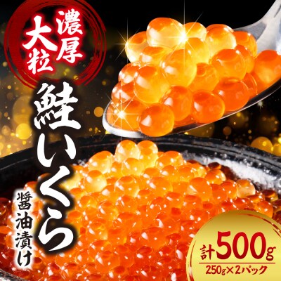 濃厚・大粒!鮭いくら醤油漬け500g(250g×2) 小分け 魚卵 イクラ_hs078-004