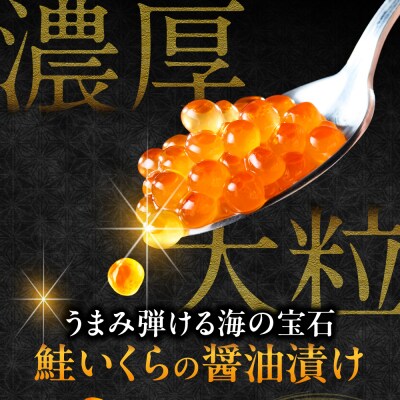 濃厚・大粒!鮭いくら醤油漬け500g(250g×2) 小分け 魚卵 イクラ_hs078-004