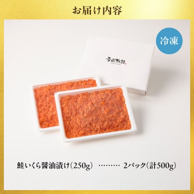 濃厚・大粒!鮭いくら醤油漬け500g(250g×2) 小分け 魚卵 イクラ_hs078-004