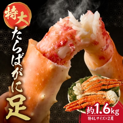 特大たらば蟹足　特4L×2本_hs078-007