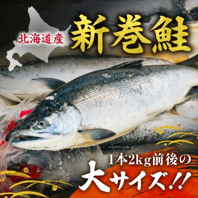 新巻鮭 切身真空加工 1本2kg前後_hs131-002