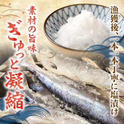 新巻鮭 切身真空加工 1本2kg前後_hs131-002