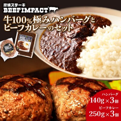 炭焼ステーキBEEF IMPACT　牛100%極みハンバーグとビーフカレー各3個_hs224-001