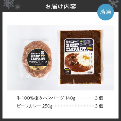 炭焼ステーキBEEF IMPACT　牛100%極みハンバーグとビーフカレー各3個_hs224-001