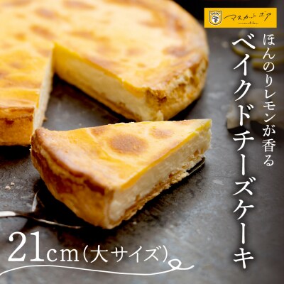 ベイクドチーズケーキ(大)_hs126-001