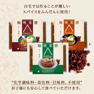 175DENOカレー 3種セット 各2袋 計6袋(無水カレー180g×6)_hs017-500