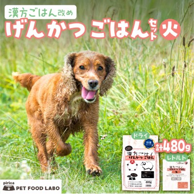 漢方ごはん改めげんかつごはん火(ドライ400g+レトルト1個)セット_hs348-002