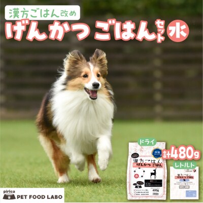 漢方ごはん改めげんかつごはん水(ドライ400g+レトルト1個)セット_hs348-005
