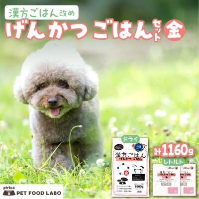 漢方ごはん改めげんかつごはん金(ドライ1000g+レトルト2個)セット_hs348-009