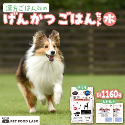漢方ごはん改めげんかつごはん水(ドライ1000g+レトルト2個)セット_hs348-010
