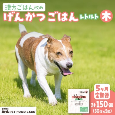 【定期便】漢方ごはん改めげんかつごはんレトルト『木』30個(30個×5回)_hs348-012