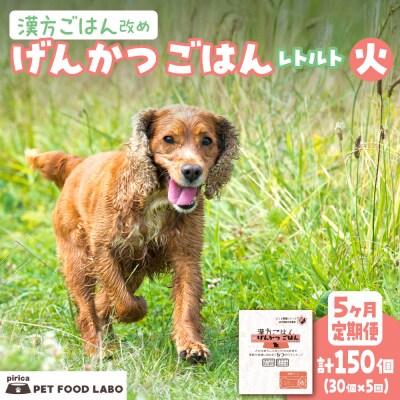 【定期便】漢方ごはん改めげんかつごはんレトルト『火』30個(30個×5回)_hs348-013