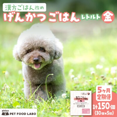 【定期便】漢方ごはん改めげんかつごはんレトルト『金』30個(30個×5回)_hs348-015
