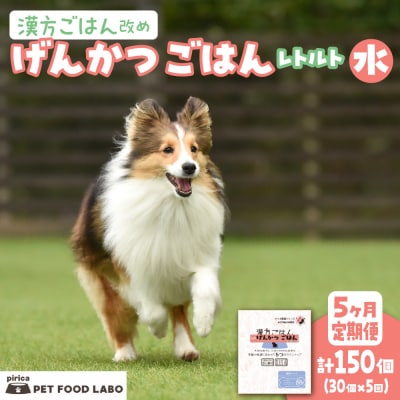 【定期便】漢方ごはん改めげんかつごはんレトルト『水』30個(30個×5回)_hs348-016