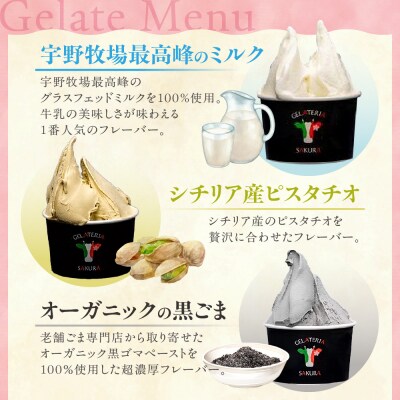 パティシエ　セレクション　ジェラート6個セット_hs140-003