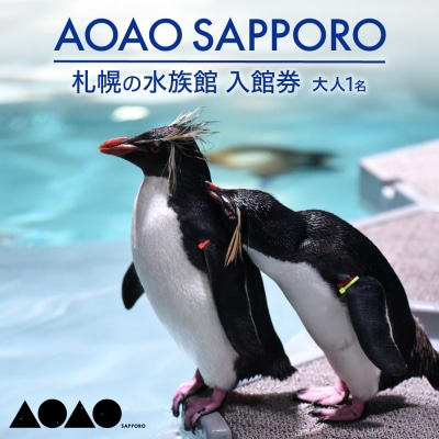 AOAO SAPPORO 入館券_hs093-070