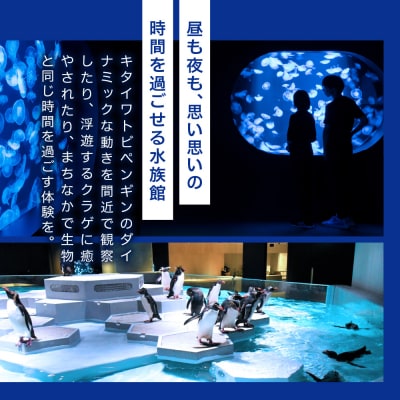 AOAO SAPPORO 入館券_hs093-070