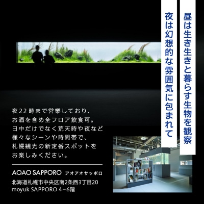 AOAO SAPPORO 入館券_hs093-070