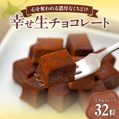 幸せ生チョコレート_hs008-005