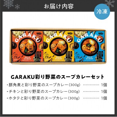 GARAKU彩り野菜のスープカレーセット_hs358-001