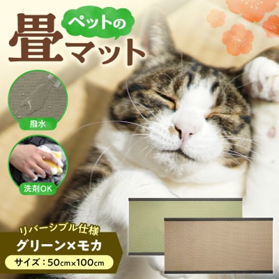 ペットの畳マット　100　グリーン×モカ_hs347-002
